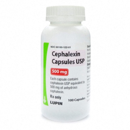 cephalexin